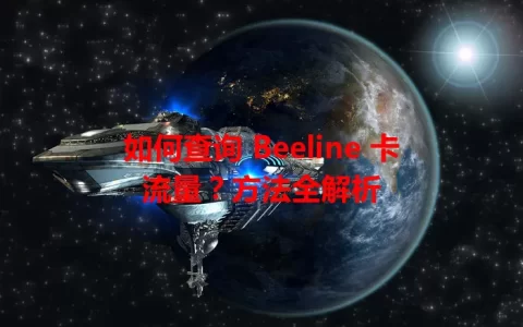 如何查询 Beeline 卡流量？方法全解析