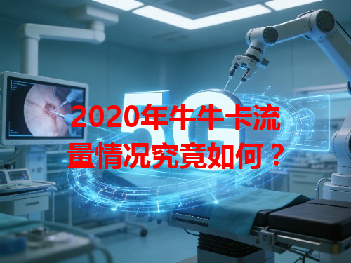 2020年牛牛卡流量情况究竟如何？
