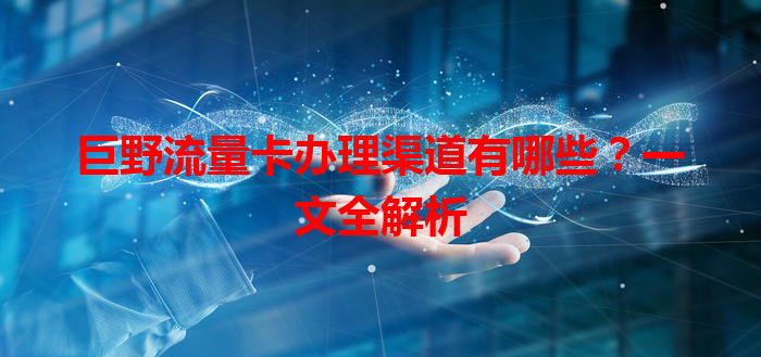 巨野流量卡办理渠道有哪些？一文全解析