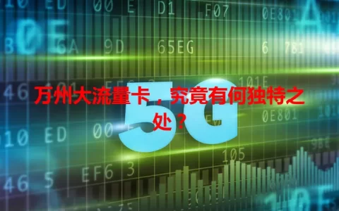 万州大流量卡，究竟有何独特之处？