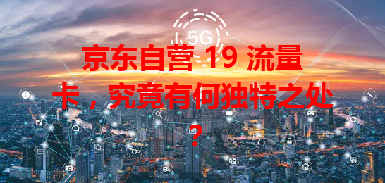 京东自营 19 流量卡，究竟有何独特之处？