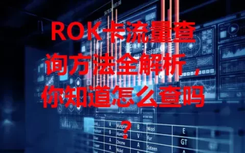 ROK卡流量查询方法全解析，你知道怎么查吗？
