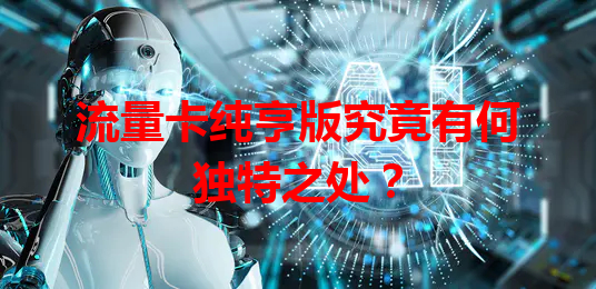 流量卡纯亨版究竟有何独特之处？