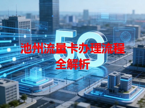 池州流量卡办理流程全解析