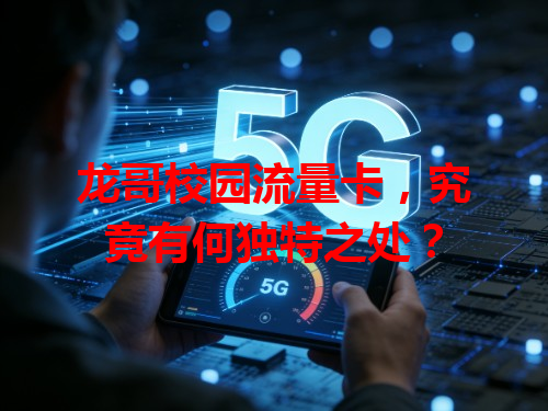 龙哥校园流量卡，究竟有何独特之处？