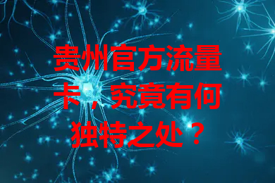 贵州官方流量卡，究竟有何独特之处？