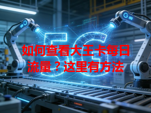如何查看大王卡每日流量？这里有方法