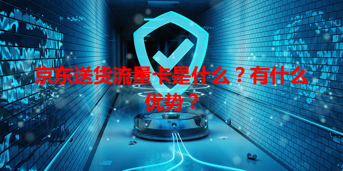 京东送货流量卡是什么？有什么优势？