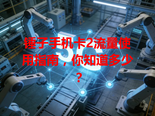 锤子手机卡2流量使用指南，你知道多少？