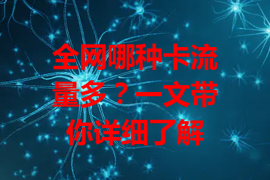 全网哪种卡流量多？一文带你详细了解