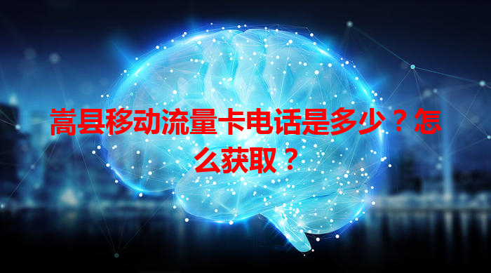 嵩县移动流量卡电话是多少？怎么获取？