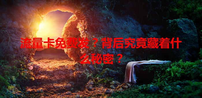 流量卡免费发？背后究竟藏着什么秘密？