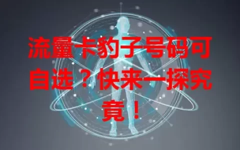 流量卡豹子号码可自选？快来一探究竟！