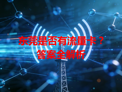 东莞是否有流量卡？答案全解析