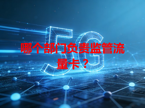 哪个部门负责监管流量卡？