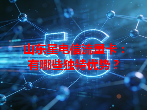 山东星电信流量卡：有哪些独特优势？