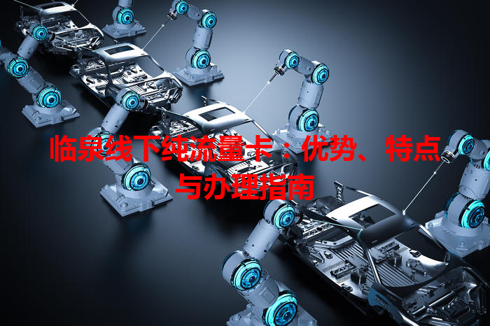 临泉线下纯流量卡：优势、特点与办理指南