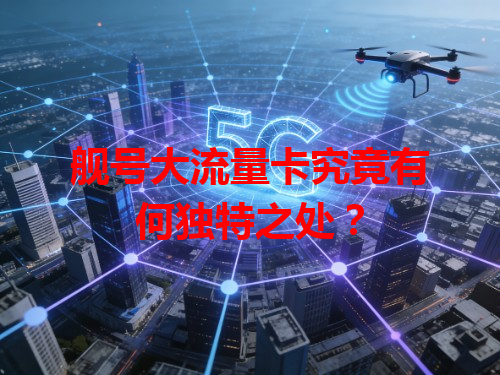 舰号大流量卡究竟有何独特之处？