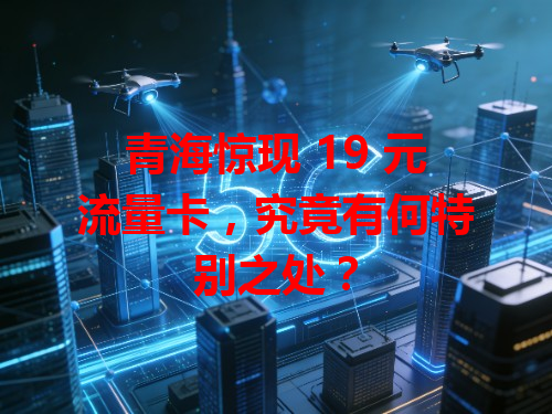 青海惊现 19 元流量卡，究竟有何特别之处？