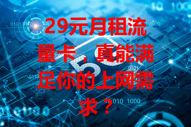 29元月租流量卡，真能满足你的上网需求？