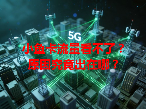 小鱼卡流量看不了？原因究竟出在哪？