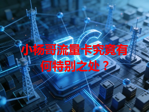 小杨哥流量卡究竟有何特别之处？