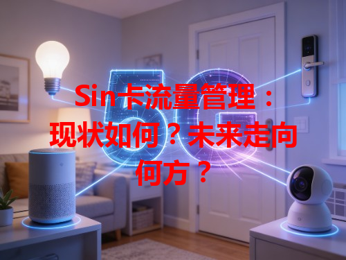 Sin卡流量管理：现状如何？未来走向何方？