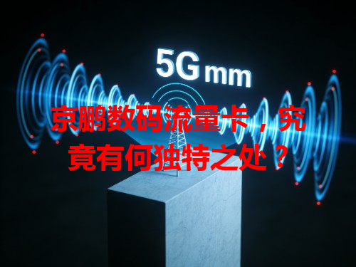 京鹏数码流量卡，究竟有何独特之处？