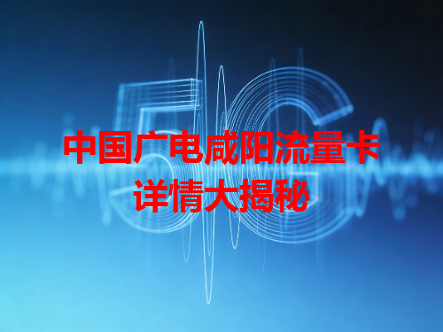 中国广电咸阳流量卡详情大揭秘