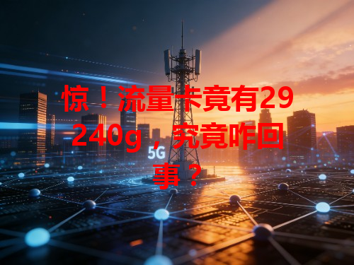 惊！流量卡竟有29240g，究竟咋回事？