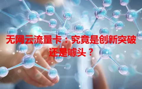 无网云流量卡：究竟是创新突破还是噱头？