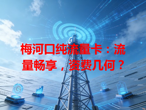 梅河口纯流量卡：流量畅享，资费几何？