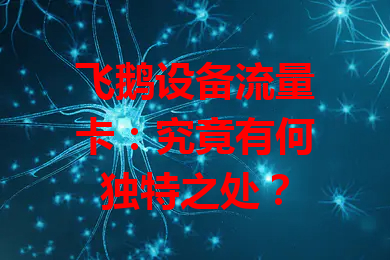 飞鹅设备流量卡：究竟有何独特之处？