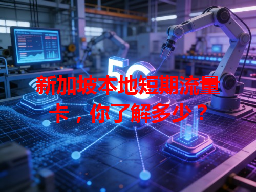 新加坡本地短期流量卡，你了解多少？
