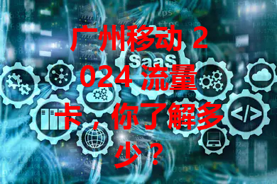 广州移动 2024 流量卡，你了解多少？
