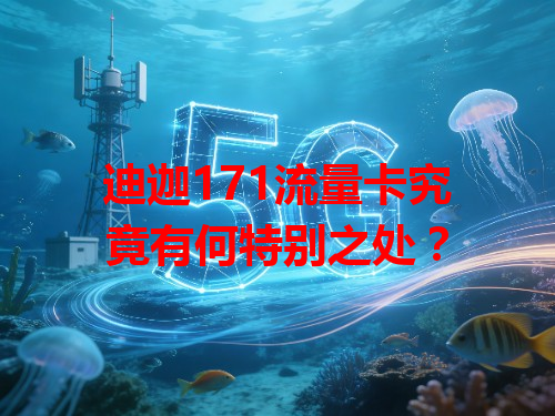 迪迦171流量卡究竟有何特别之处？