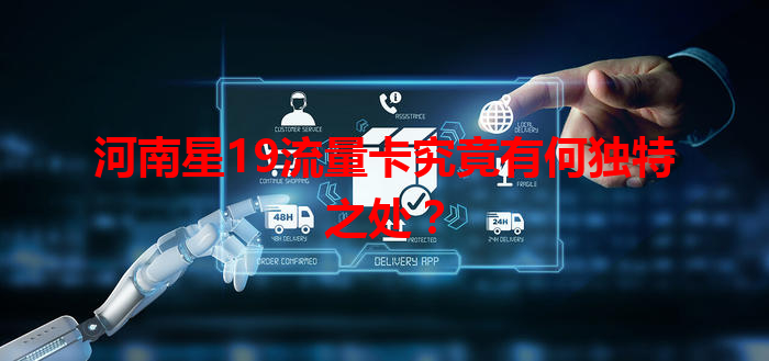 河南星19流量卡究竟有何独特之处？