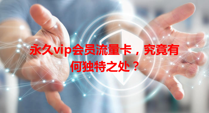 永久vip会员流量卡，究竟有何独特之处？