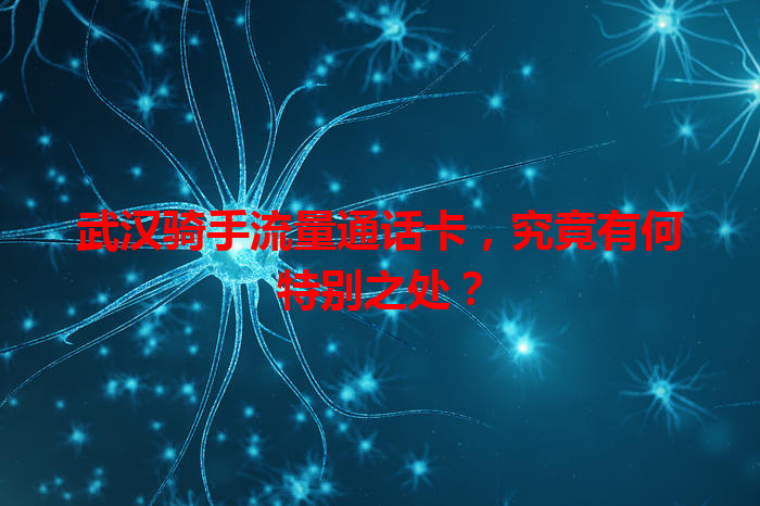 武汉骑手流量通话卡，究竟有何特别之处？