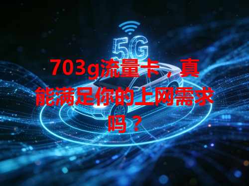 703g流量卡，真能满足你的上网需求吗？