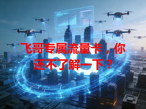 飞哥专属流量卡，你还不了解一下？