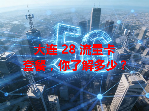 大连 28 流量卡套餐，你了解多少？