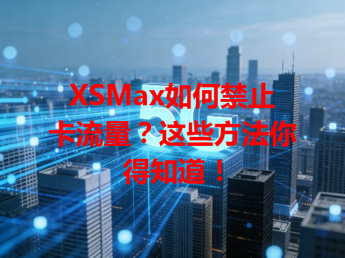 XSMax如何禁止卡流量？这些方法你得知道！