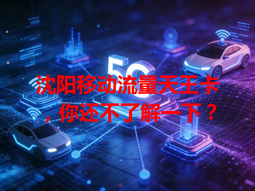 沈阳移动流量天王卡，你还不了解一下？