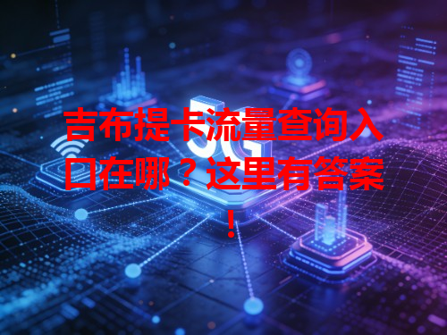 吉布提卡流量查询入口在哪？这里有答案！