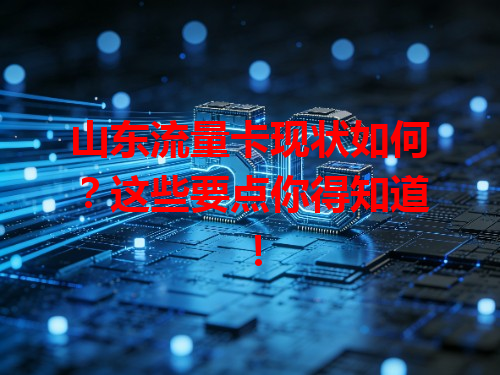 山东流量卡现状如何？这些要点你得知道！