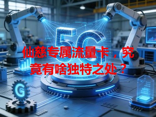 仙慈专属流量卡，究竟有啥独特之处？