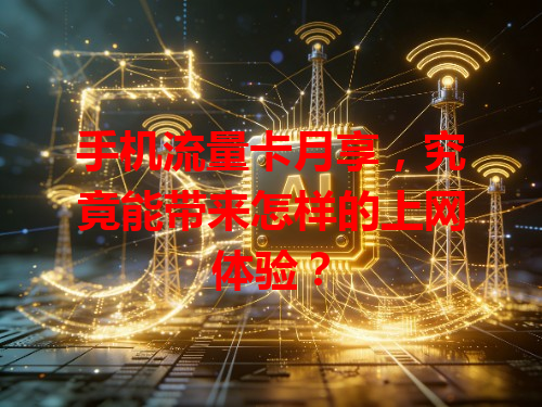 手机流量卡月享，究竟能带来怎样的上网体验？
