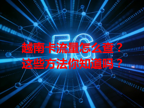 越南卡流量怎么查？这些方法你知道吗？