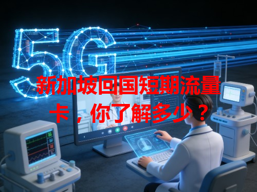 新加坡回国短期流量卡，你了解多少？